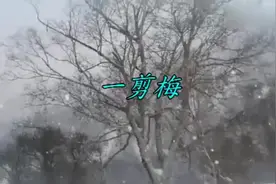 这首《一剪梅》男版我服费玉清，翻唱最好听的我只认朗嘎拉姆版本视频封面