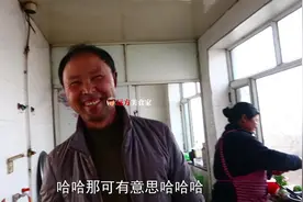 干豆腐炖土豆片，又是道东北农家家常菜，远爸为何说要继续努力？视频封面