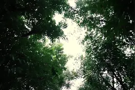 赵鑫《又能怎样》正式版MV