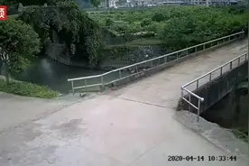 秀操作失败！小伙开手扶拖拉机漂移过弯，车头直接冲进河沟视频封面