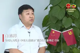 白鹤祥：金融知识纳入国民教育体系 提升国民金融素养视频封面