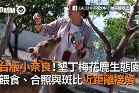 台版小奈良！垦丁梅花鹿生态园　喂食、合照与斑比近距离接触视频封面