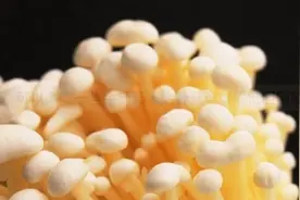 可以多吃一些金针菇，金针菇可以降低胆固醇