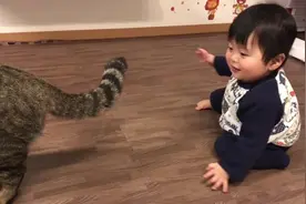 性格温顺的猫咪，陪小主人一起玩，被欺负也没脾气