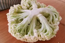 花菜别用清水直接洗，洗不干净虫卵，教你正确方法，脏东西全跑光视频封面