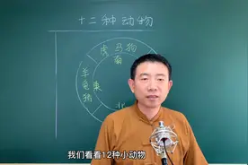 十二种动物关系