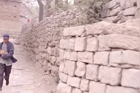 丈夫抱着鸡满村跑，没想到被妻子看到，妻子竟帮着丈夫骗主任视频封面