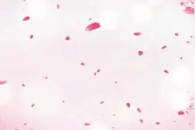 安平志臻 | 母亲节，“老师妈妈”有话说视频封面