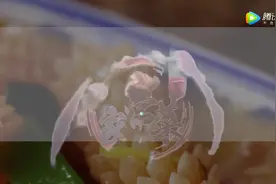 厨师长教你：“烧鱿鱼卷”的正宗做法，味道很好，我先收藏了视频封面