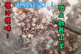 鲁农兄弟：散养纯山羊，用山上的山药一起煮特别香！大锅带皮全羊视频封面