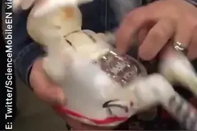 怕挠痒的机器人，别挠了，哈哈视频封面