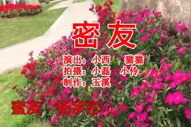 推荐：姐妹情歌曲《密友》唱出姐妹情深，互相依靠