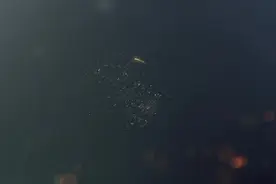 李现富二代身份被揭秘？看到母亲的职业后，网友：惹不起