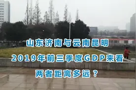 山东济南与云南昆明的2019年前三季度GDP来看，两者距离多远？视频封面