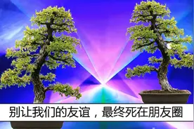 散文欣赏-别让我们的友谊，最终死在朋友圈