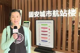 带你探访！北京大兴机场首座跨省异地城市航站楼图片