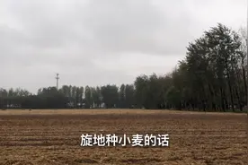 周口项城一场雨连续下了一天一夜，解决了农民种小麦地干旱的问题视频封面