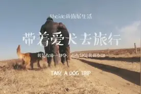情侣自驾在成都过年第一次自己做年夜饭包饺子连狗狗都有饺子吃视频封面