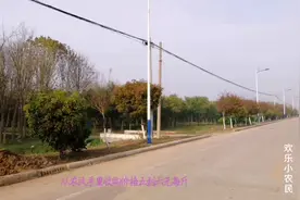 农业人口大量流失，越来越多的空心村相继涌现，中国农业赚钱吗？视频封面