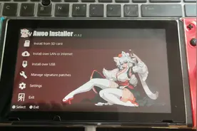 switch USB 安装游戏 （AWOO NS-USBloader）
