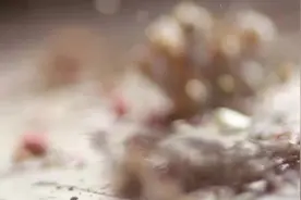 莫艳琳-错的是我视频封面