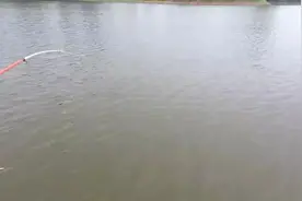 这是什么运气，野河钓上五十斤大青鱼，人品也太好了吧视频封面