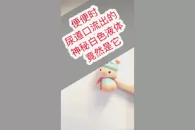 便便时尿道口流出的神秘白色液体竟然是它视频封面