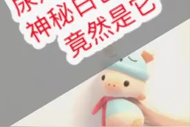 便便时尿道口流出的神秘白色液体竟然是它视频封面