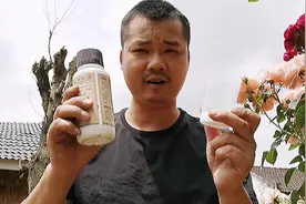 合理的喷施叶面肥花苞能压断花枝，其实原理就是这么简单粗暴视频封面