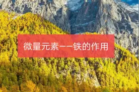 微量元素——铁的作用视频封面