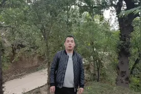 浑身长刺的树你见过吗，虽然很危险但是却浑身是宝，一起来看一下视频封面