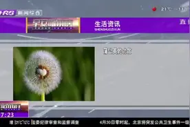 科普：蒲公英有哪些功效？经常泡水喝，你就会感受到这4个大变化视频封面