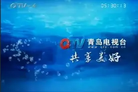 陈田良老师详解杨式太极拳（汪传老六路） (8)视频封面