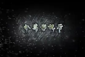 小伙有严重的洁癖症，这天被女友亲了一下，他直接晕了过去-