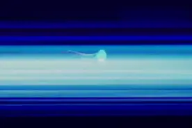 冰公主濒临困境，哥哥得知她封印在冰里，居然拒绝救她！视频封面