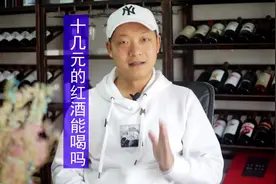 10几块的红酒能喝吗？80后独立酿酒师告诉你，答案有点意思视频封面