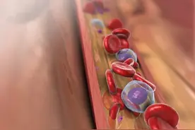 血浆有什么功能呢？【高清】视频封面