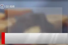 上海有没有野生蝙蝠？有哪些？平常遇到蝙蝠怎么办？