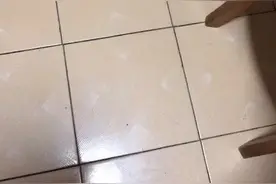 一个很简单的甩腿动作，膝关节就不痛了图片
