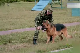 何捷为什么会娶了张馨予？看过这段视频后，可算彻底死心了！视频封面