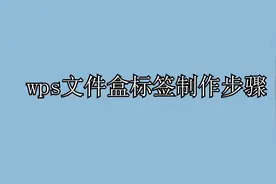 电脑小知识：wps文件盒标签制作步骤视频封面