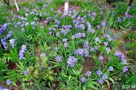 视频介绍十万元海狮房车，第一次做VLOG，笑场多次，大家凑合看吧视频封面