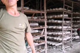 童子鸡跟田七一起炖，说小孩子吃完会长身高，真的那么神奇吗？视频封面