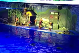 南宁那个新开的海洋世界，可以带小孩子去玩一下视频封面