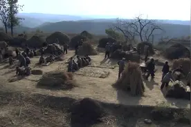 男知青谈论“男女搭配，干活不累”，激怒坡底村妇女被再教育