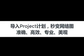 在斑马进度计划中，利用project快速生成双代号网络图计划