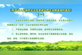 陕西省人民政府关于严禁破坏野生动物资源的通告（一）视频封面