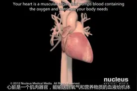 长海心外科：心力衰竭患者能活多久？视频封面