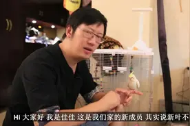养了两个月的鹦鹉，来跟大家见个面！