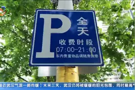 武汉车主注意！5月6日起，中心城区恢复道路停车收费了视频封面